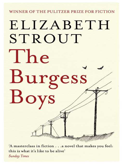 Title details for The Burgess Boys by Elizabeth Strout - Wait list